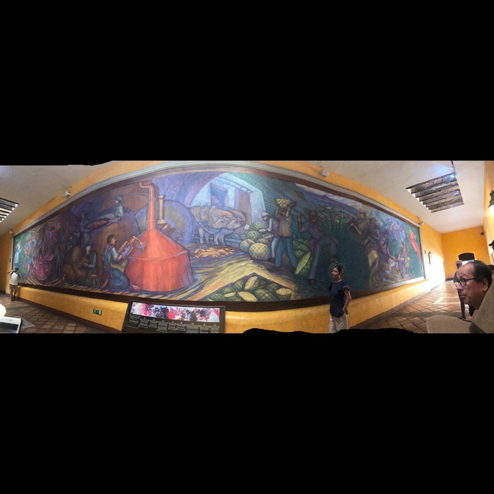 Meet your Posher, Erika